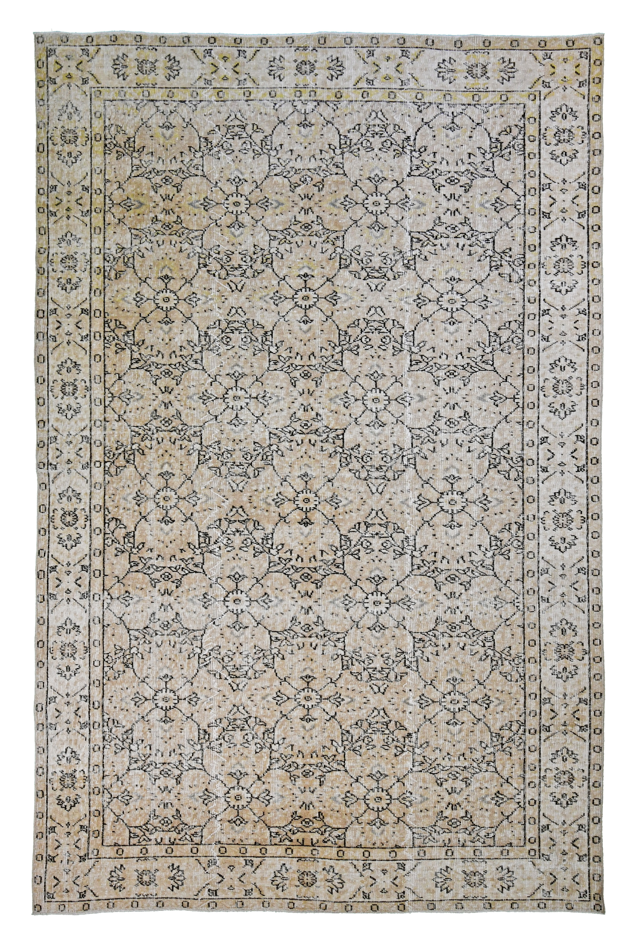 15554-Sparta Turkish-9.6 X 7